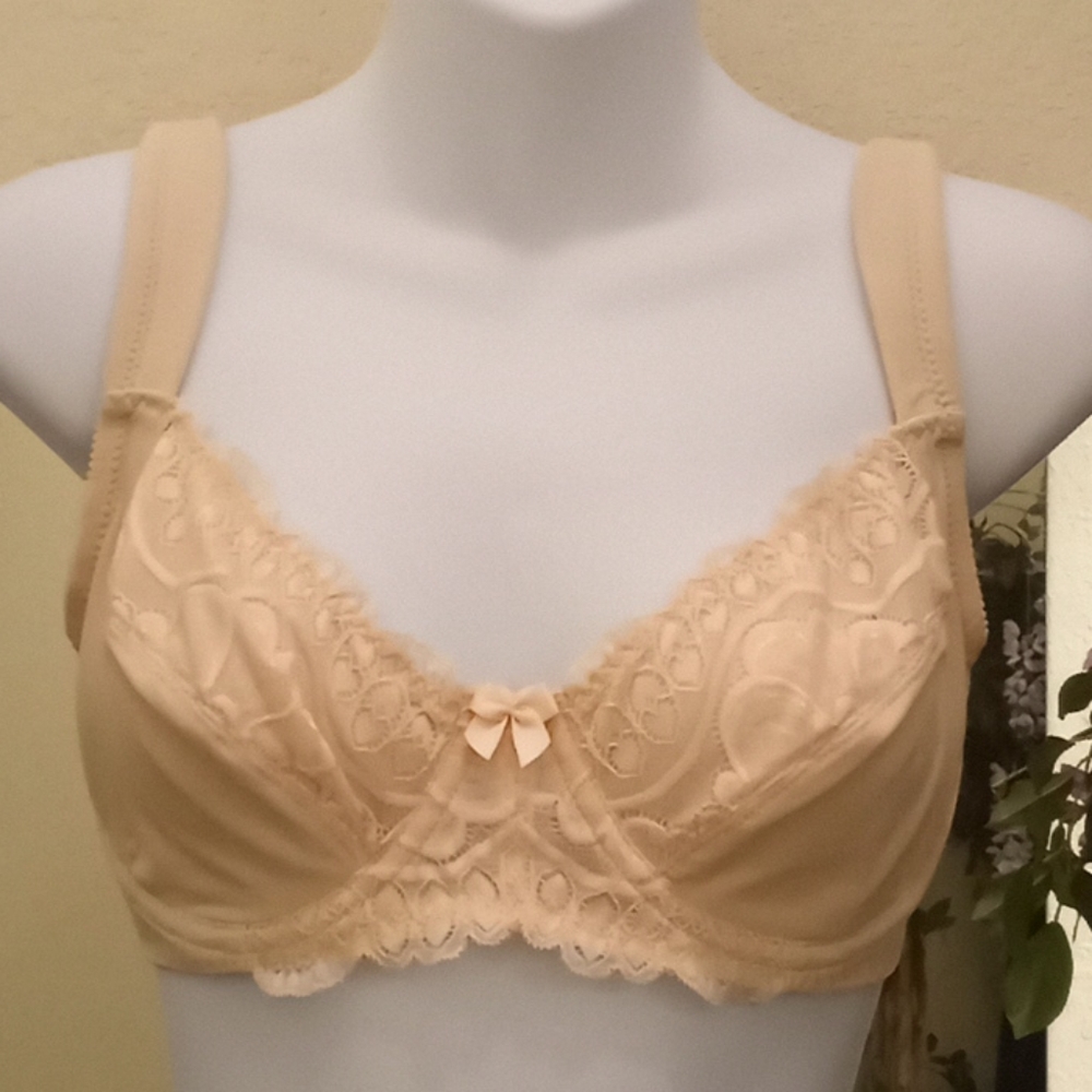 Curve Muse Satin & Lace Bra